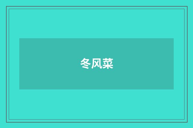 冬风菜