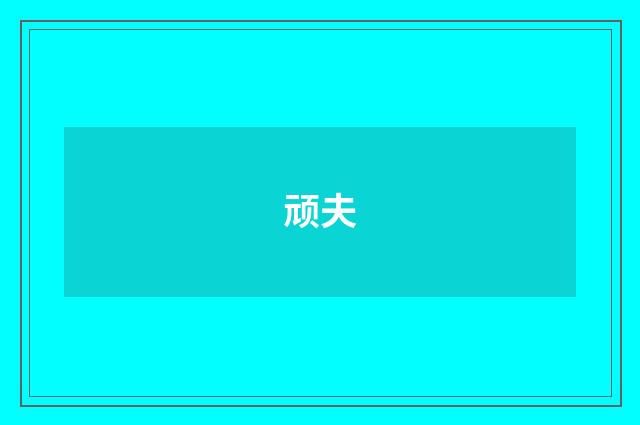 顽夫