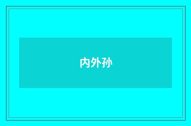 内外孙