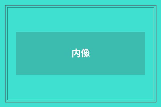 内像
