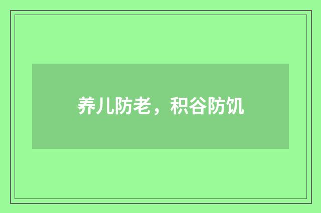 养儿防老，积谷防饥