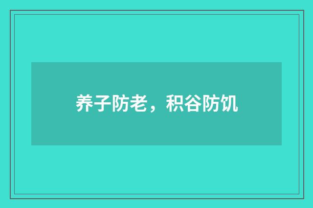 养子防老，积谷防饥