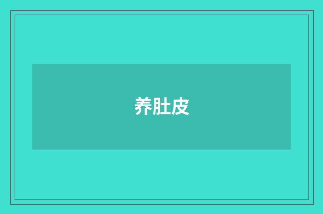 养肚皮