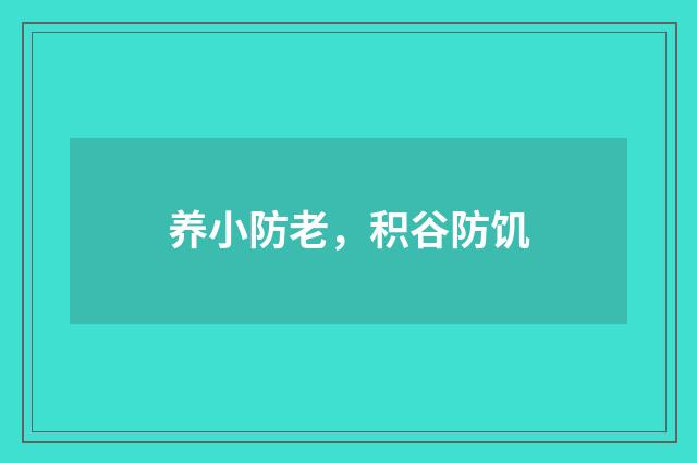 养小防老，积谷防饥