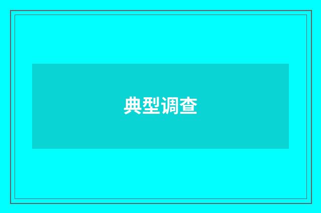 典型调查