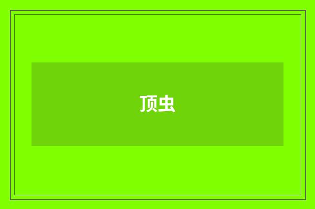 顶虫