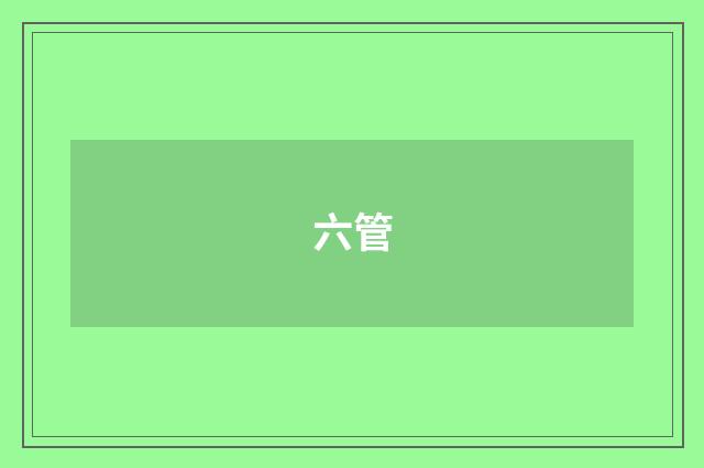 六管