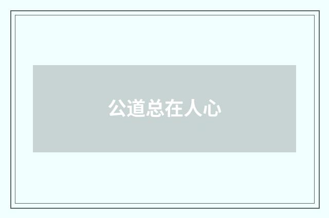 公道总在人心