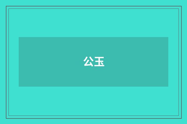 公玉