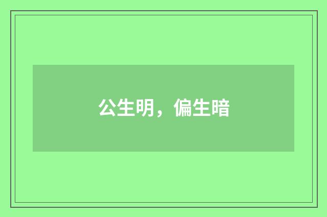 公生明，偏生暗
