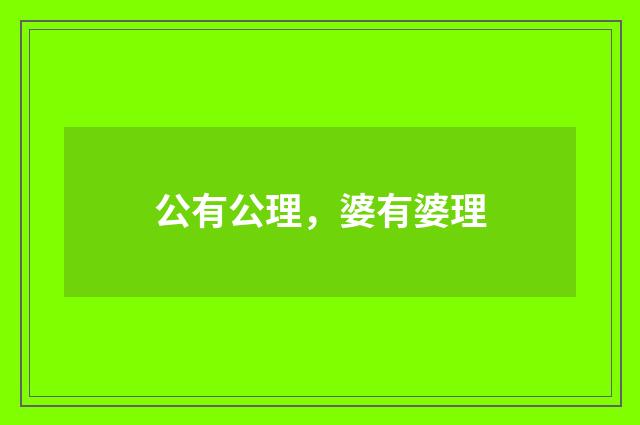 公有公理，婆有婆理