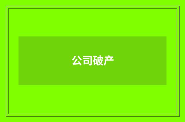公司破产