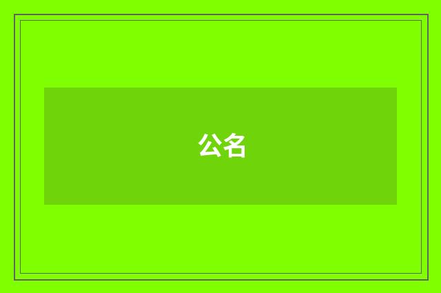 公名