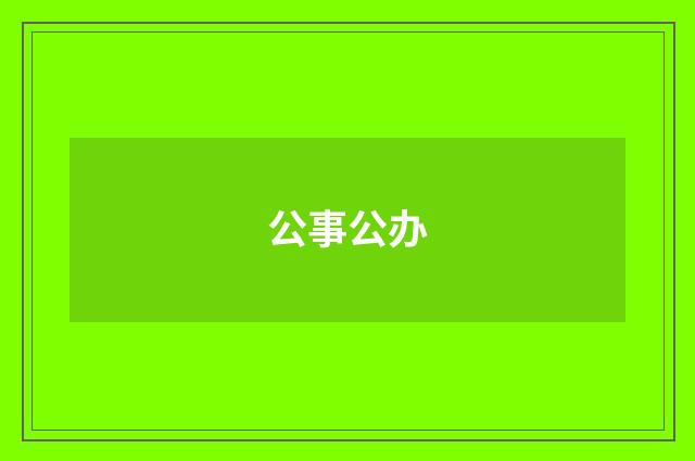 公事公办