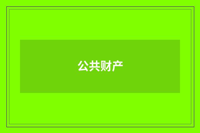 公共财产