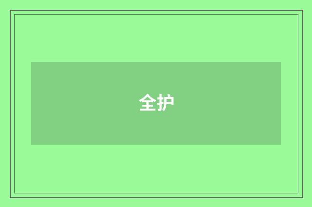 全护