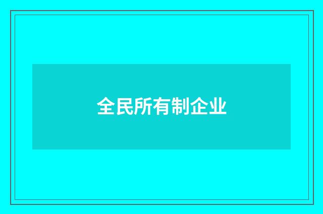 全民所有制企业