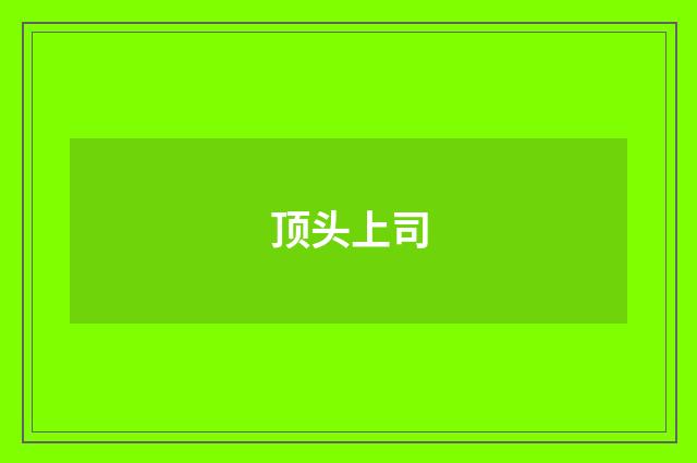 顶头上司