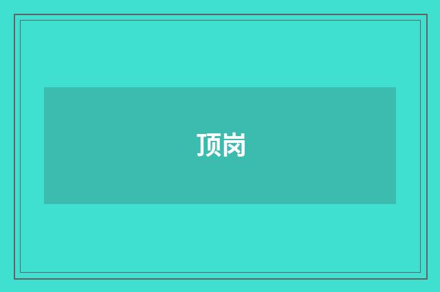 顶岗