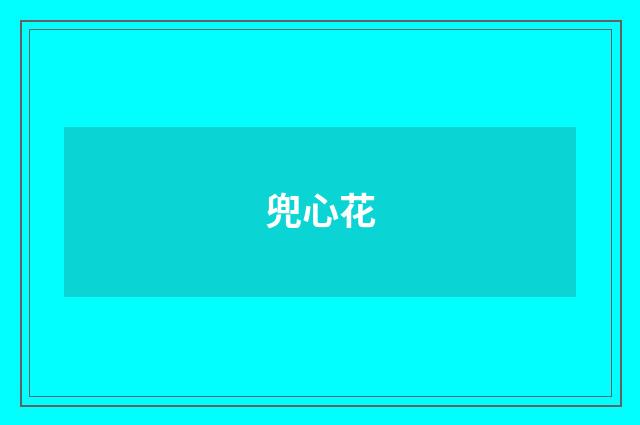 兜心花