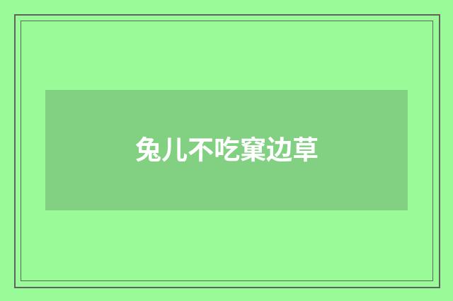 兔儿不吃窠边草