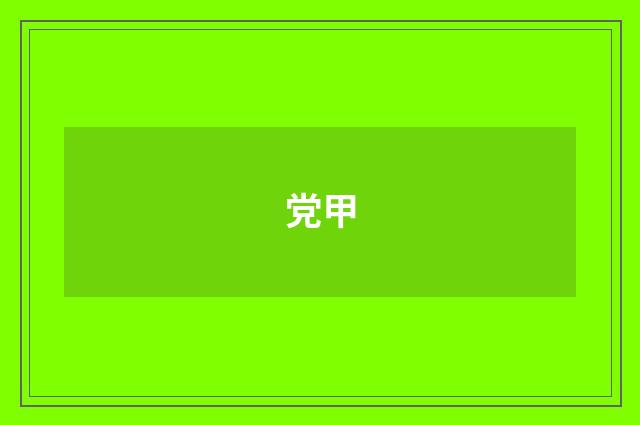 党甲