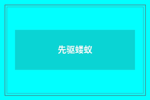 先驱蝼蚁