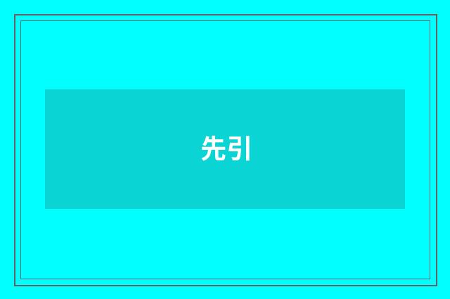 先引