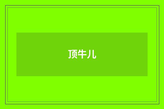 顶牛儿