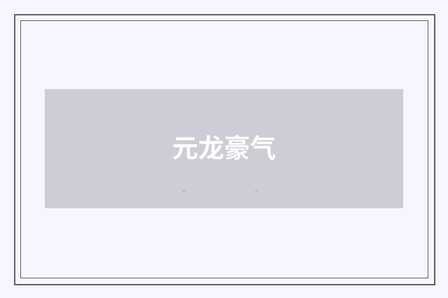 元龙豪气