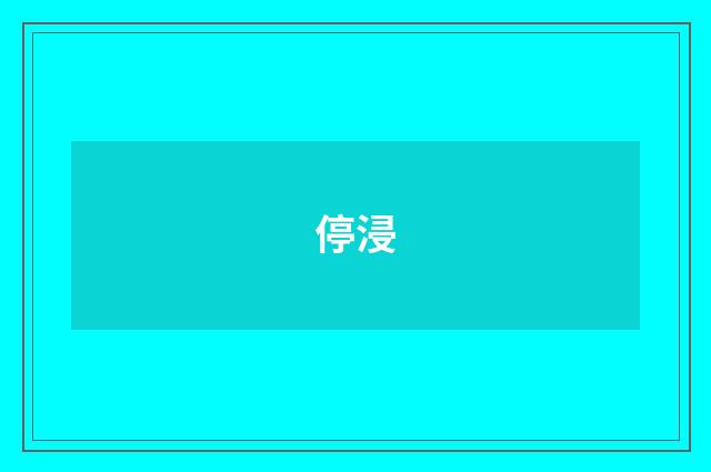 停浸