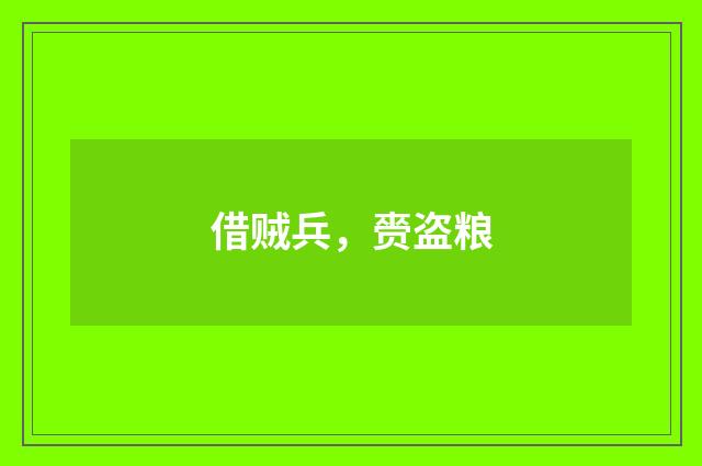 借贼兵，赍盗粮