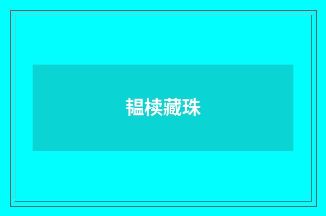 韫椟藏珠