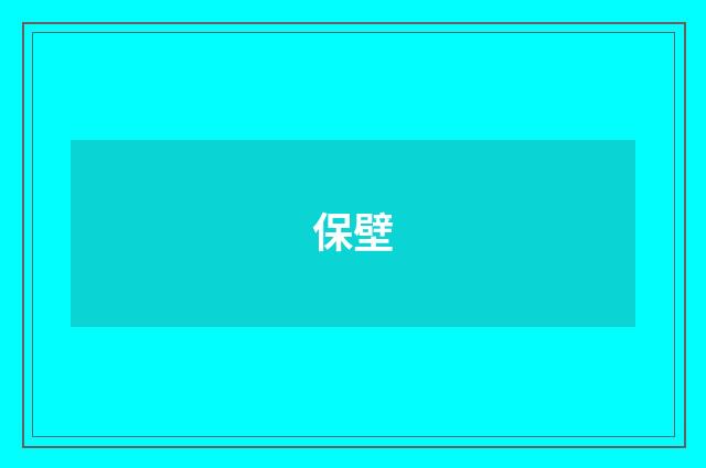 保壁