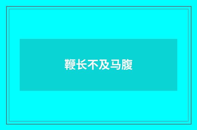 鞭长不及马腹