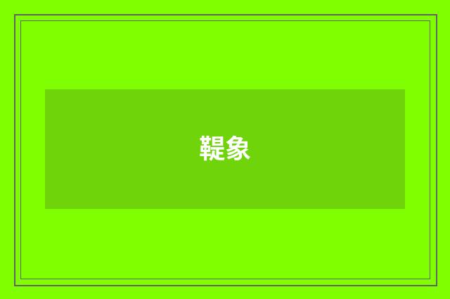 鞮象