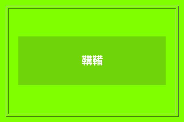 鞲鞴