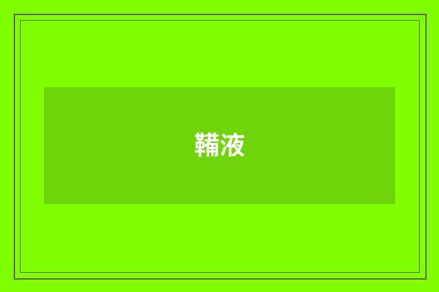 鞴液