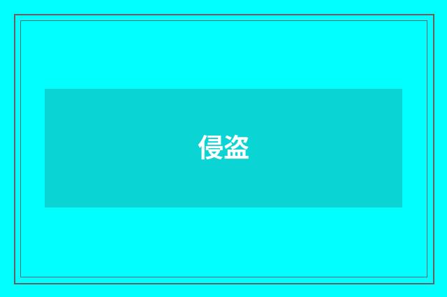 侵盗