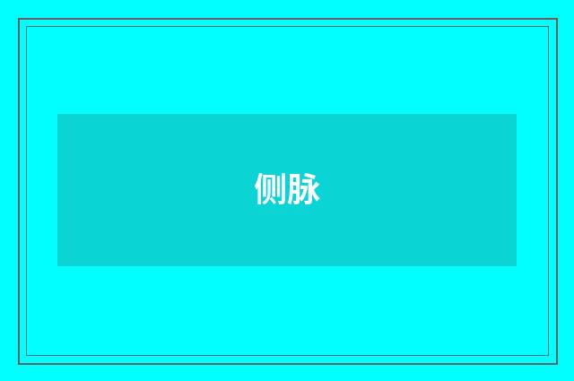 侧脉