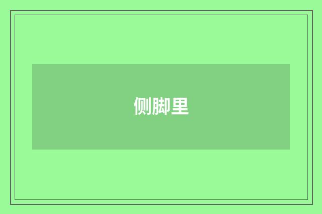 侧脚里