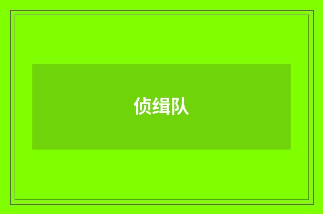 侦缉队