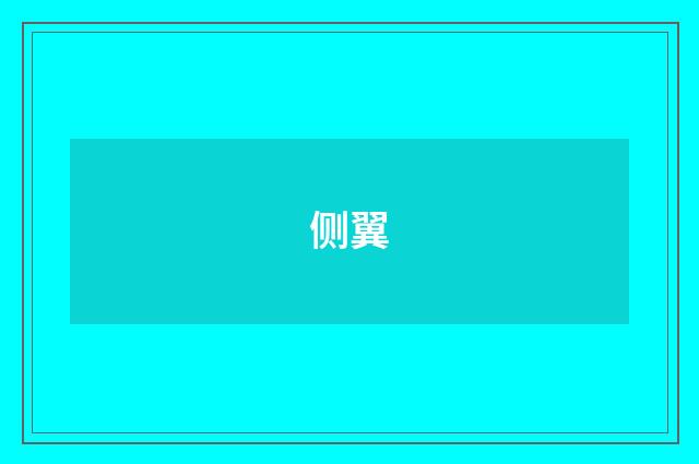 侧翼