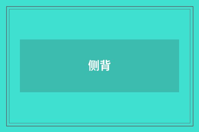侧背