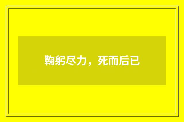 鞠躬尽力，死而后已