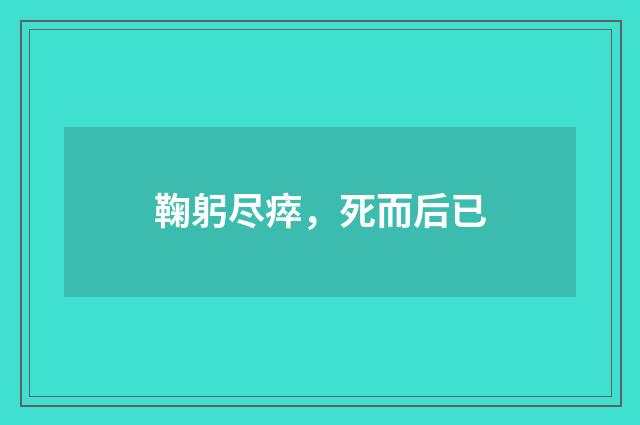 鞠躬尽瘁，死而后已
