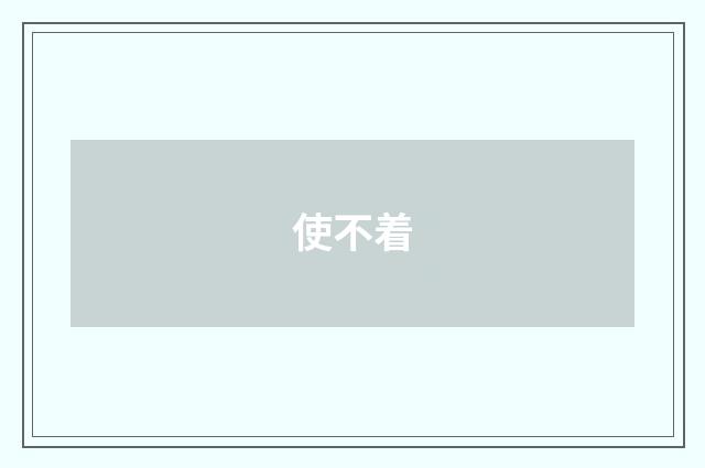 使不着