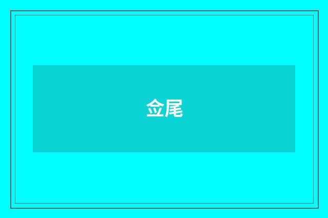 佥尾