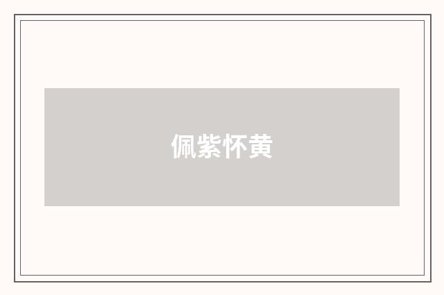 佩紫怀黄