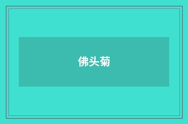 佛头菊